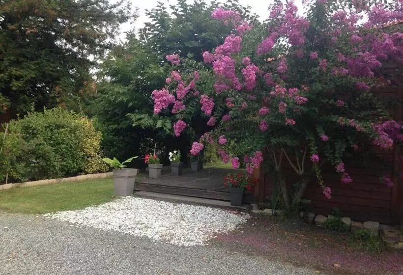 Aamiaismajoitus (B&B) Verolithos