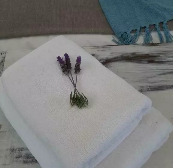 Aamiaismajoitus (B&B) Westbed
