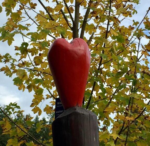 酒店 Seeblickapp. „eure Auszeit“