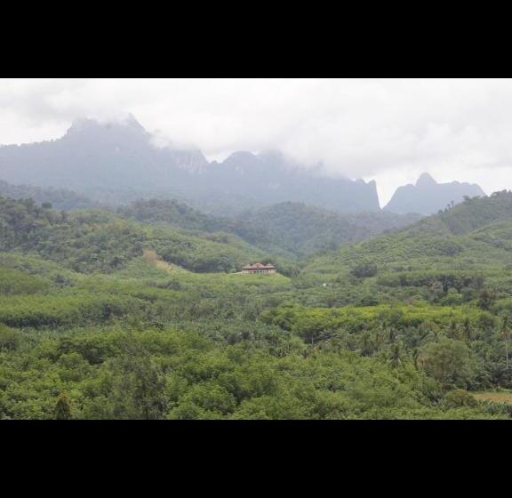 Pensão Billion Views Khaosok Homestay