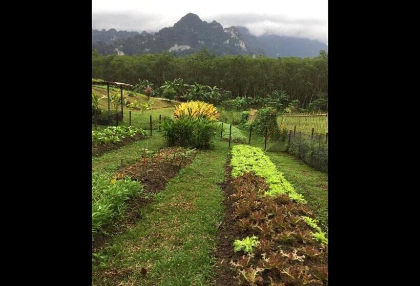 Pensão Billion Views Khaosok Homestay