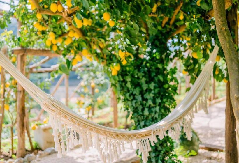 펜션 Villa Le Murelle