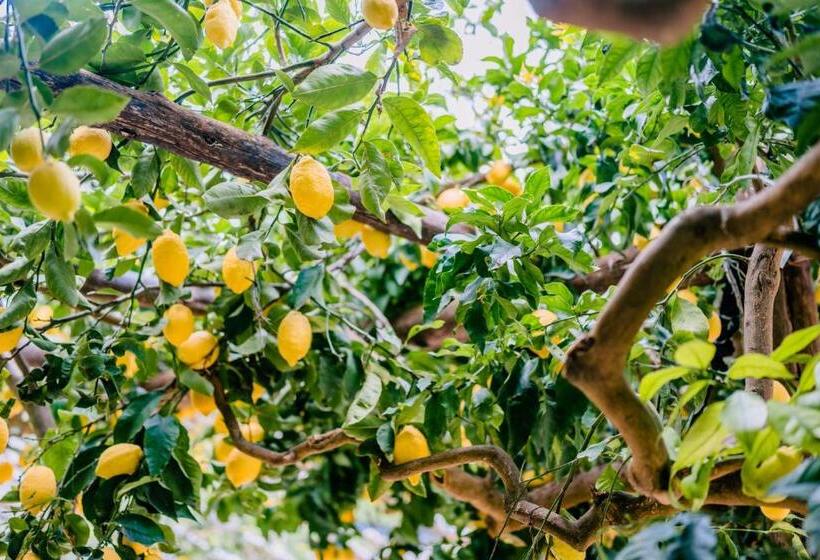 펜션 Villa Le Murelle