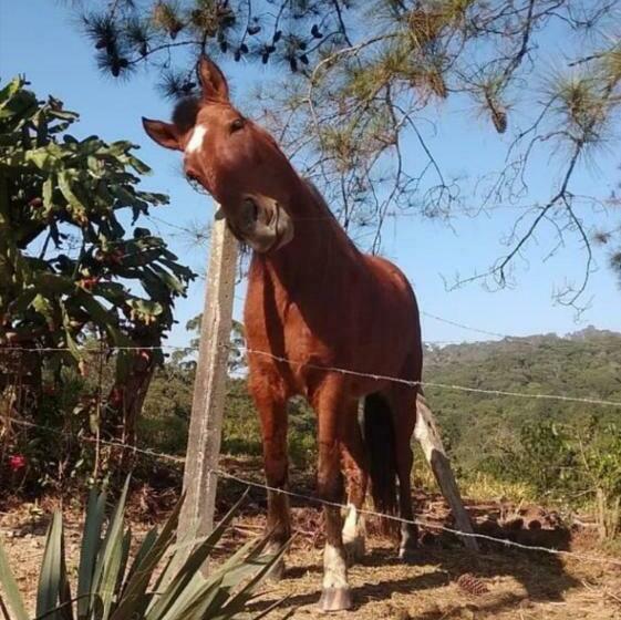 旅馆 Sitio Arco Iris Da Lia