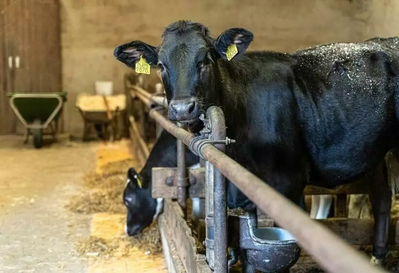 Aamiaismajoitus (B&B) Erve Iemhorst