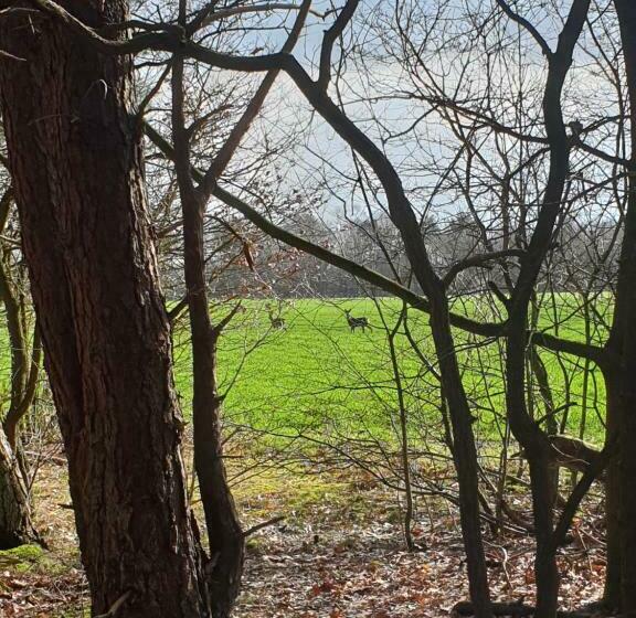 住宿加早餐 Erve Iemhorst