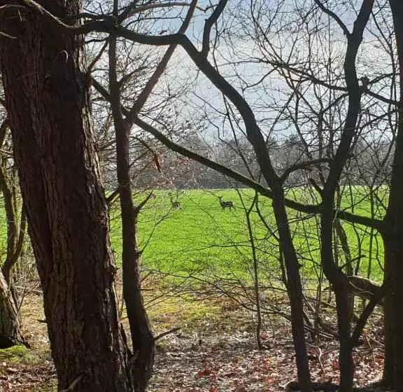 Aamiaismajoitus (B&B) Erve Iemhorst