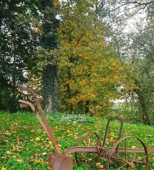 Aamiaismajoitus (B&B) Erve Iemhorst