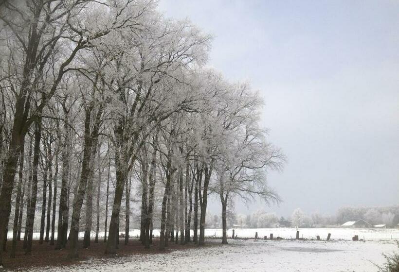 住宿加早餐 Erve Iemhorst