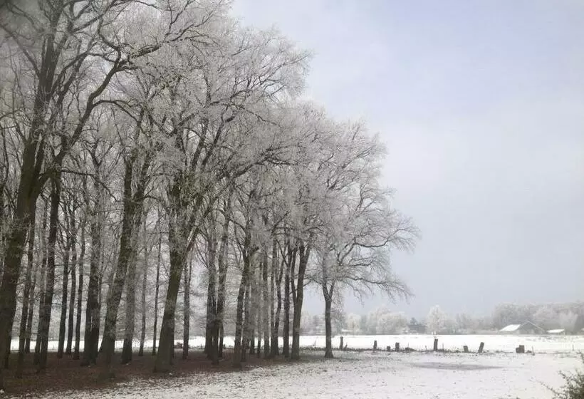 Aamiaismajoitus (B&B) Erve Iemhorst