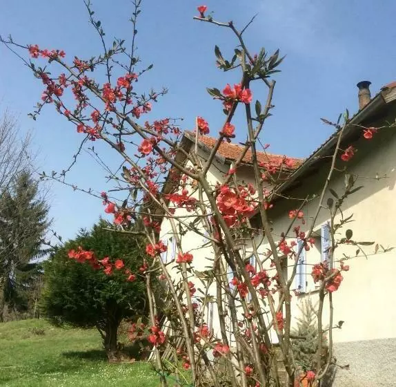 B&b La Scellana