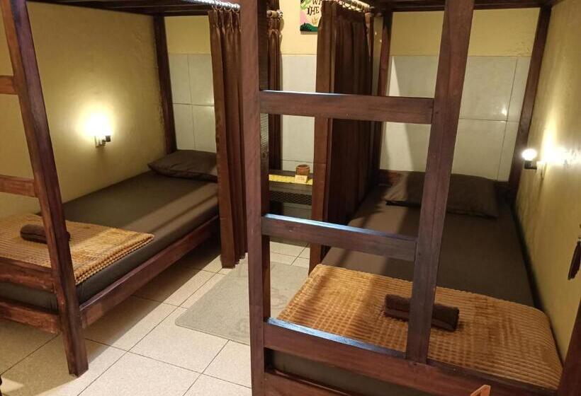 Bed and Breakfast Chacha Homestay & Dormitory