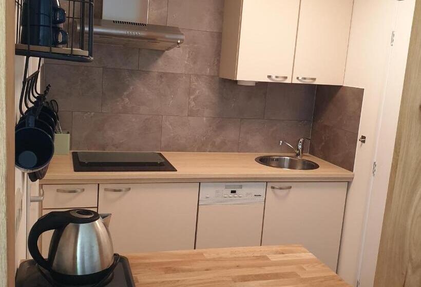 住宿加早餐 Erve Iemhorst