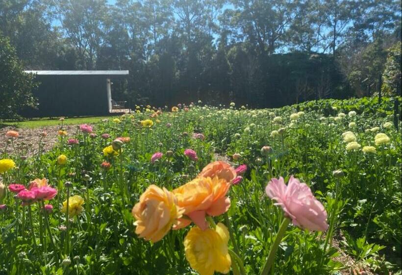 호텔 Flower Farm Tamborine Mountain