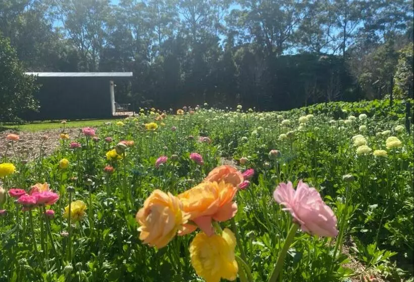 ホテル Flower Farm Tamborine Mountain