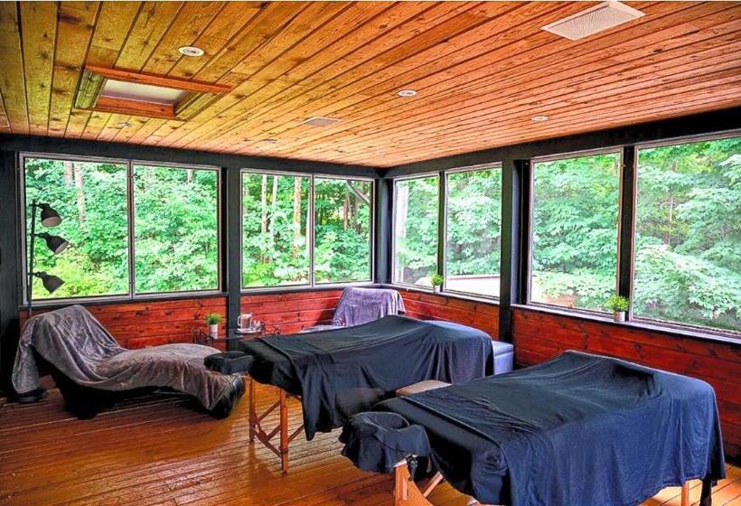 La Bohème   Bed & Breakfast