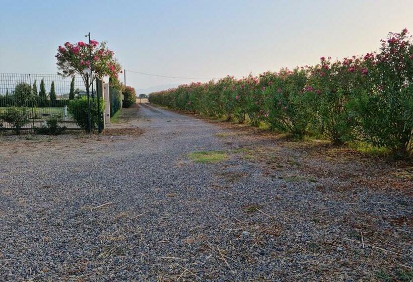 膳宿费 Villa Iole