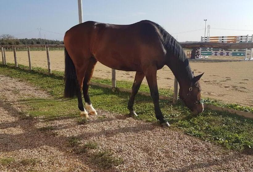 膳宿费 Villa Iole