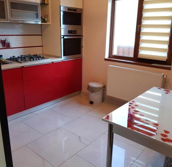 Pensiunea Vila Mocanilor