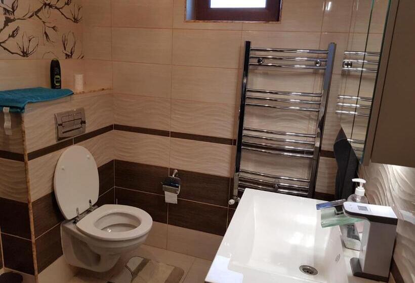 Pensiunea Vila Mocanilor