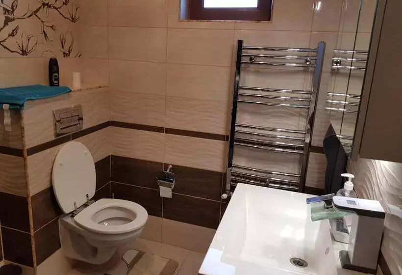 Pensiunea Vila Mocanilor