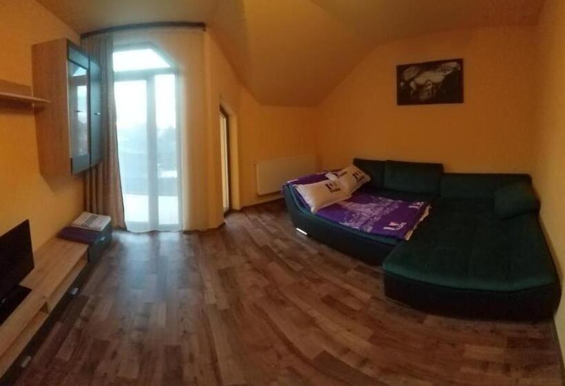 Pensiunea Vila Mocanilor