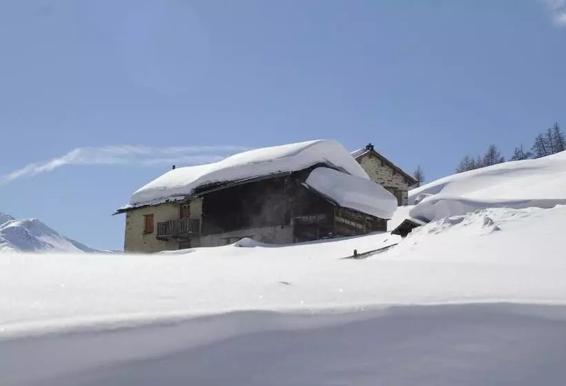 Отель Alexander Charme