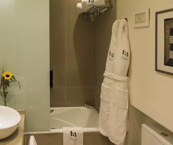 Hotel Balcon De Cordoba