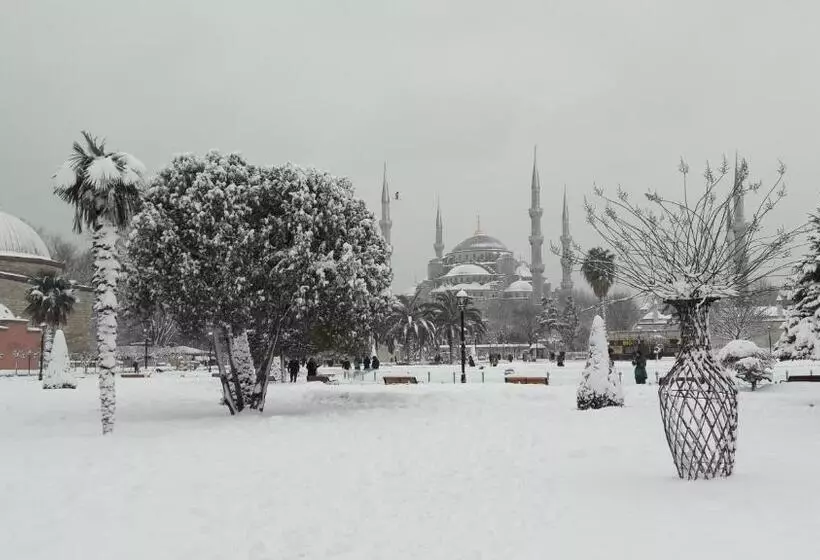 Esans Hotel   Special Category