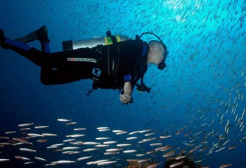 Esans Hotel   Special Category