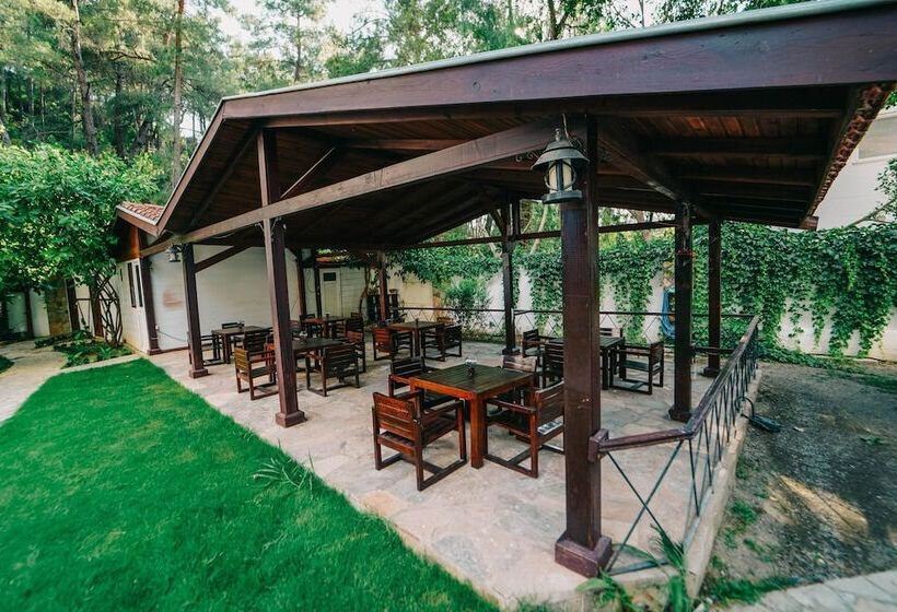 בית מלון כפרי Forest Gate