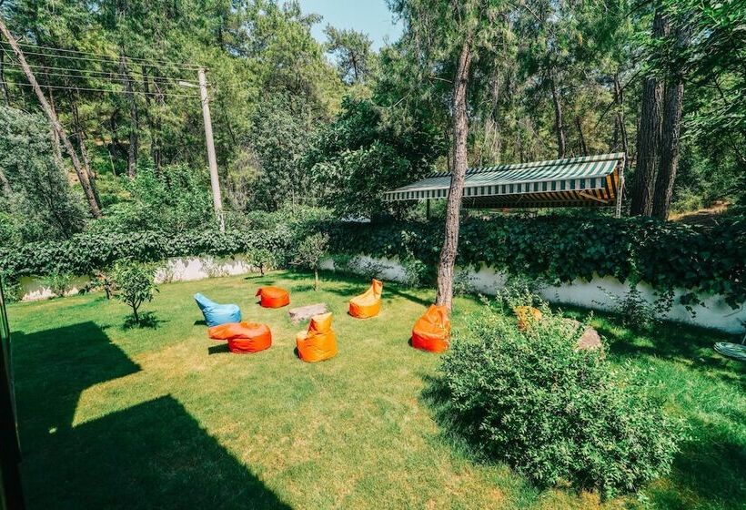 בית מלון כפרי Forest Gate