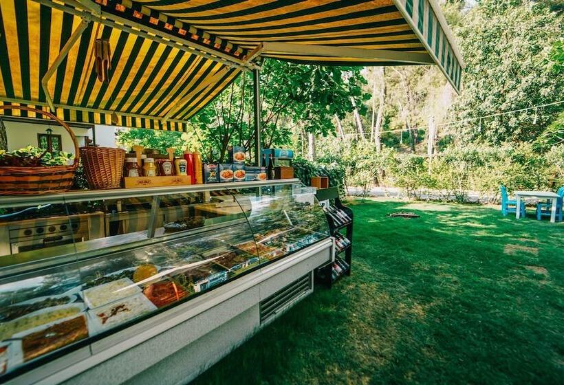 בית מלון כפרי Forest Gate