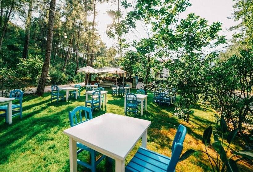 בית מלון כפרי Forest Gate