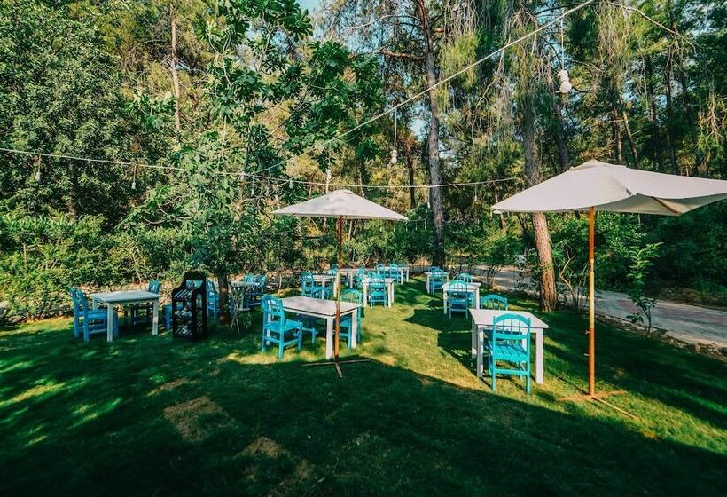 בית מלון כפרי Forest Gate