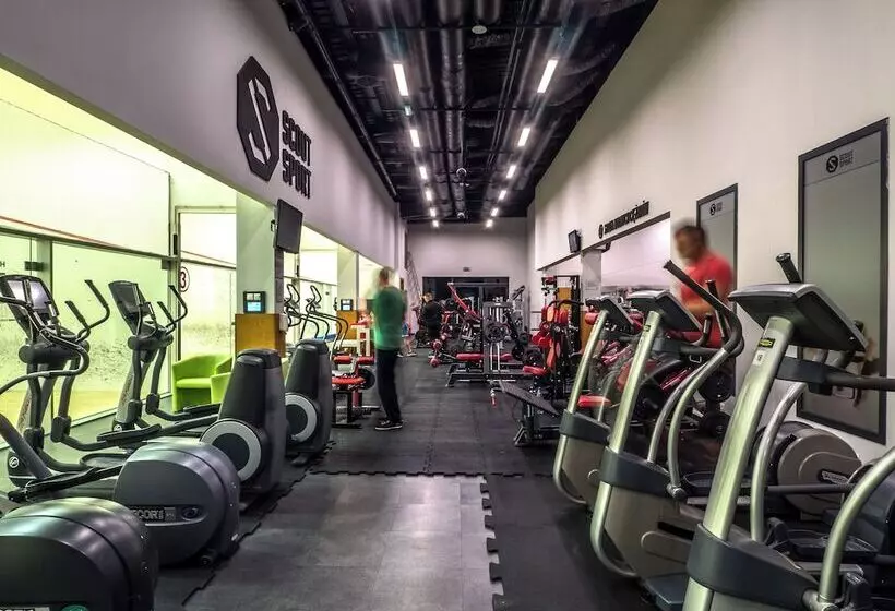 בית מלון כפרי Scout