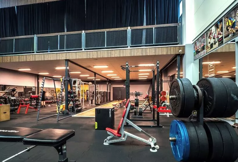 בית מלון כפרי Scout