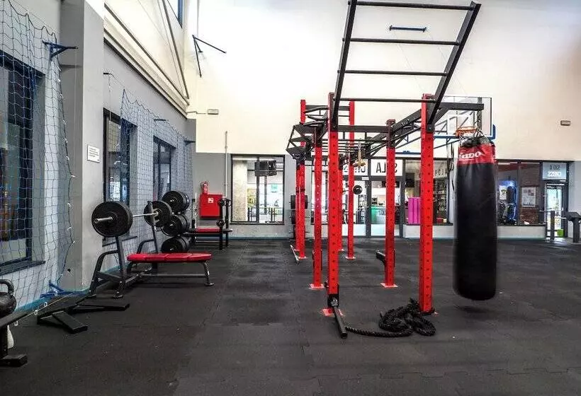 בית מלון כפרי Scout