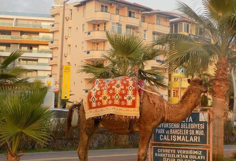 Отель Semt Luna Beach