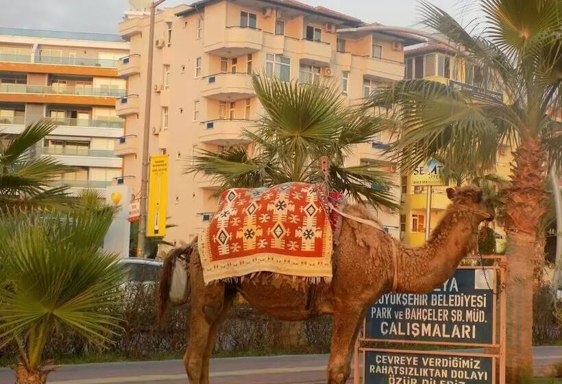 酒店 Semt Luna Beach