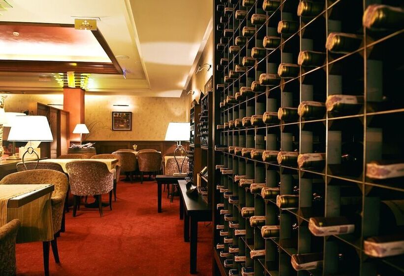 هتل Słoneczny Młyn