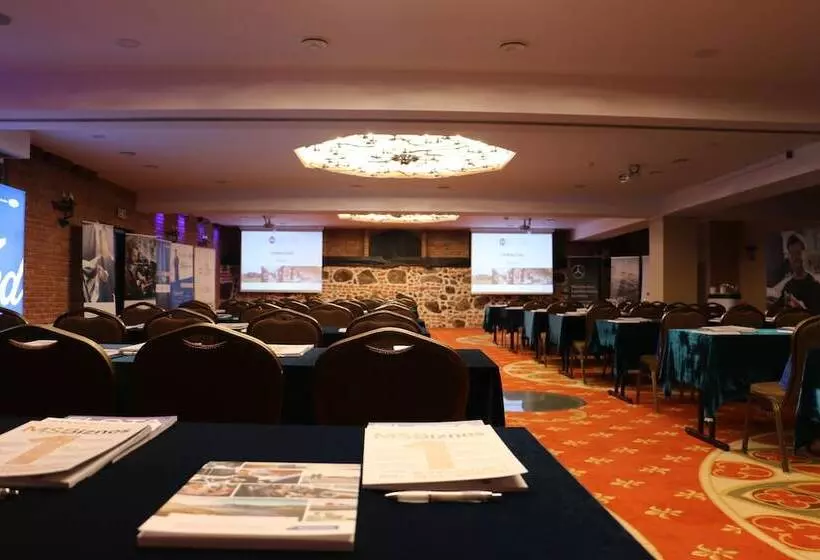 בית מלון כפרי Zamek Ryn