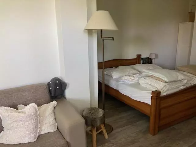 Aamiaismajoitus (B&B) Luxe Prive Kamer   Studio In Villa Aan Zee, Dishoek, Vernieuwd