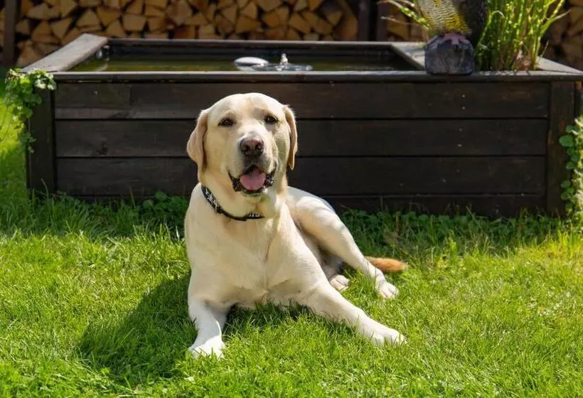 Aamiaismajoitus (B&B) Moselhaus