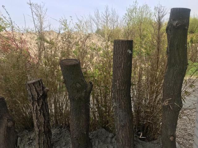 צימר Luxe Prive Kamer   Studio In Villa Aan Zee, Dishoek, Vernieuwd