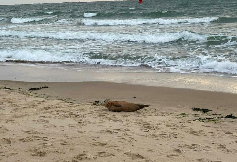 צימר Luxe Prive Kamer   Studio In Villa Aan Zee, Dishoek, Vernieuwd