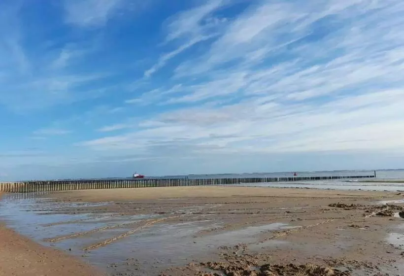 Aamiaismajoitus (B&B) Luxe Prive Kamer   Studio In Villa Aan Zee, Dishoek, Vernieuwd