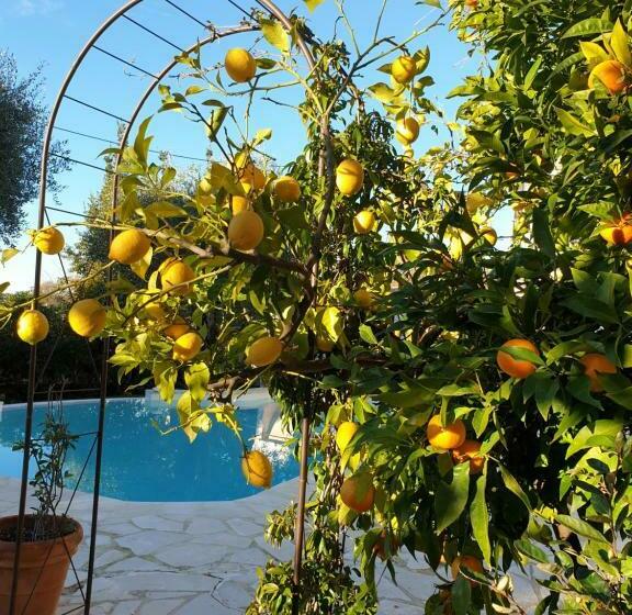 住宿加早餐  Villa Mia