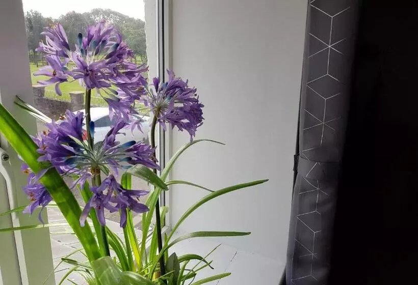 Hotelli Wheatsheaf Inn