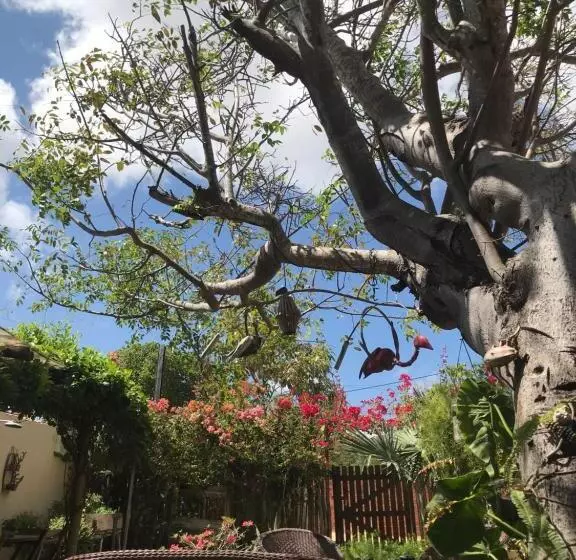 ペンション Casa éolica